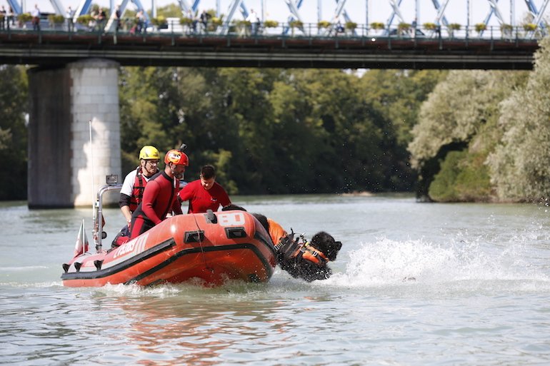 Trainer Cani Eroi Show salvataggio nel fiume